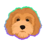 rockylogo transparent 1 1 150x150